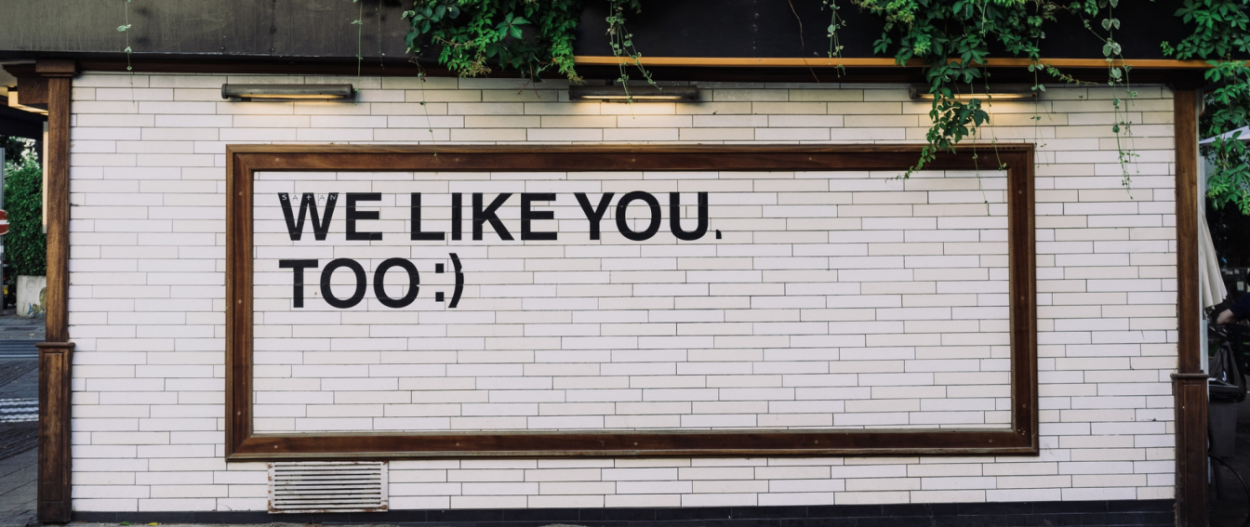 облицовка, стен, кирпич, бетон, преимущества, brick wall, брик волл